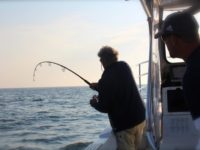 Working A Bluefin Tuna